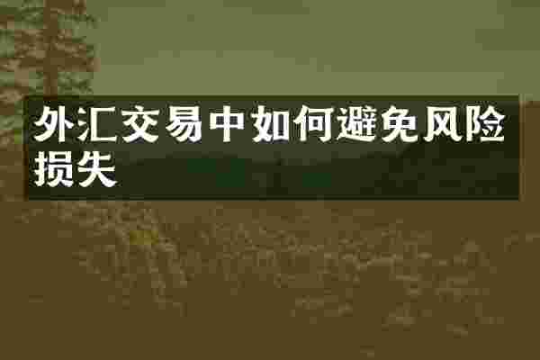 外汇交易中如何避免风险损失