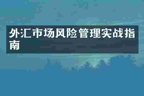 外汇市场风险管理实战指南
