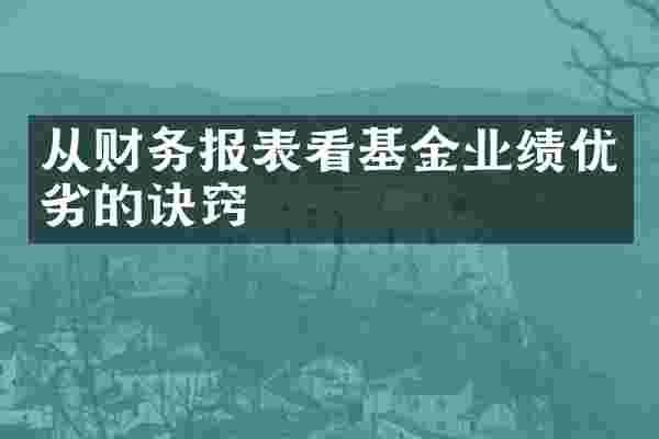 从财务报表看基金业绩优劣的诀窍