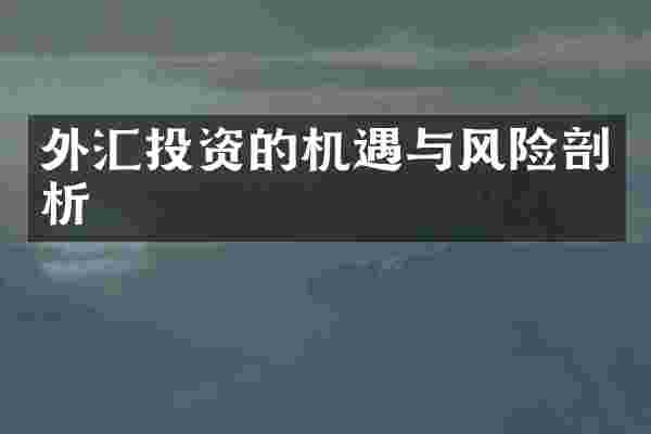 外汇投资的机遇与风险剖析