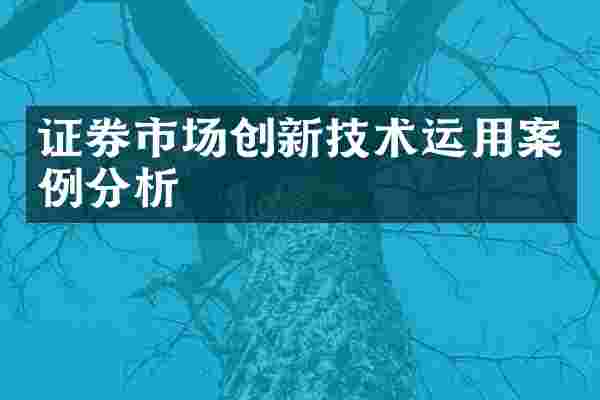 证券市场创新技术运用案例分析