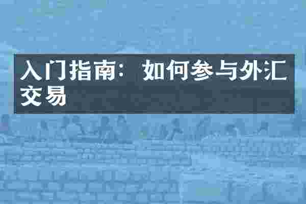 入门指南：如何参与外汇交易