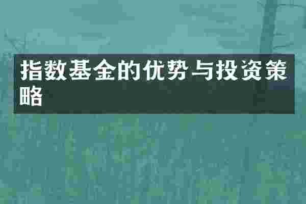 指数基金的优势与投资策略