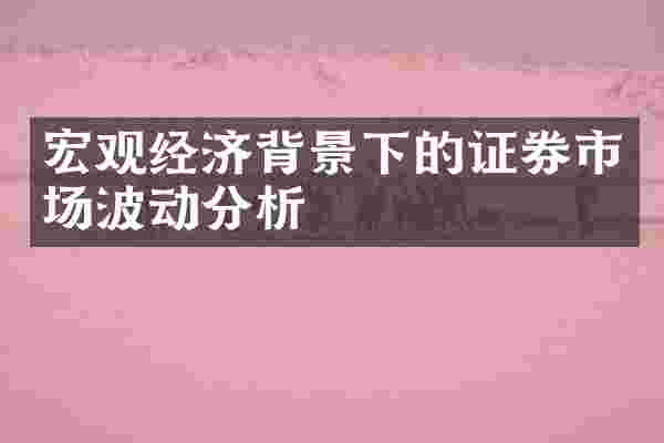 宏观经济背景下的证券市场波动分析