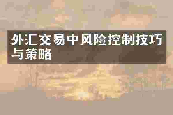 外汇交易中风险控制技巧与策略