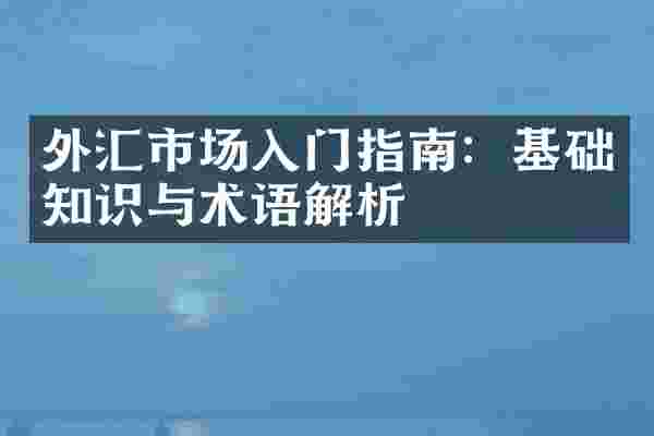外汇市场入门指南：基础知识与术语解析