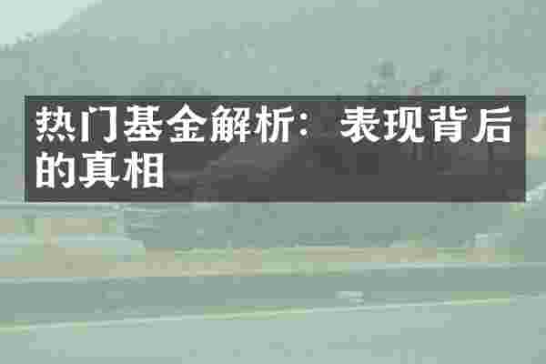 热门基金解析：表现背后的真相