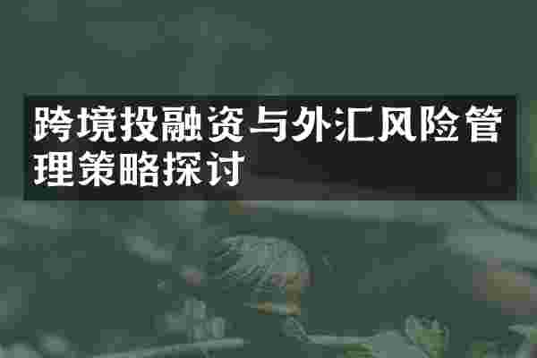 跨境投融资与外汇风险管理策略探讨