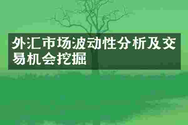 外汇市场波动性分析及交易机会挖掘