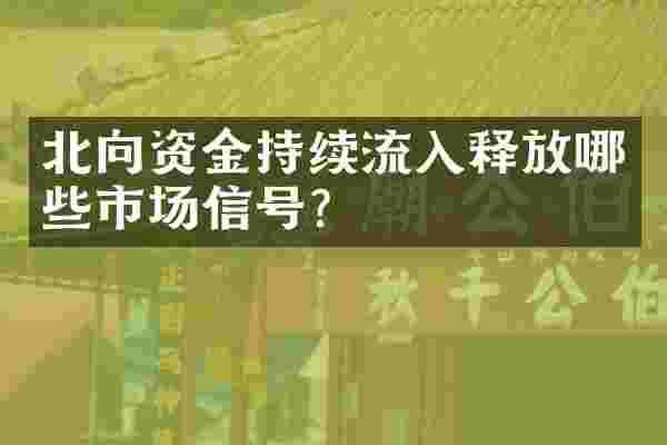 北向资金持续流入释放哪些市场信号？