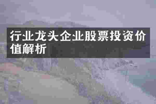行业龙头企业股票投资价值解析