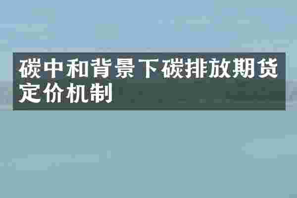 碳中和背景下碳排放期货定价机制