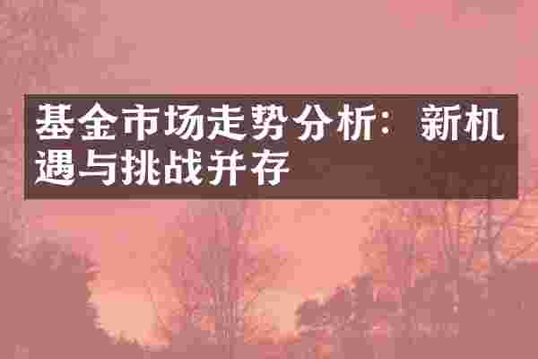 基金市场走势分析：新机遇与挑战并存