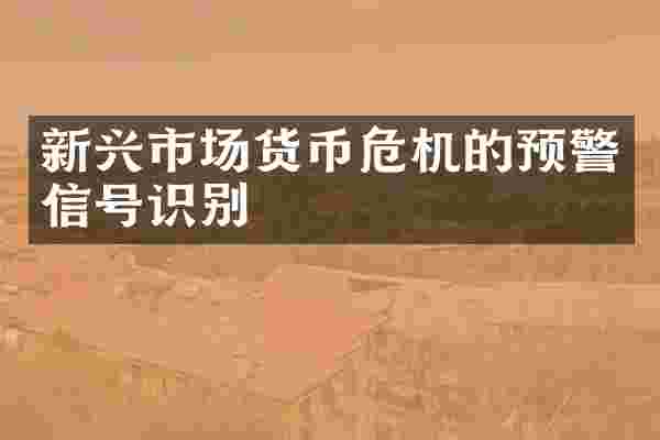 新兴市场货币危机的预警信号识别