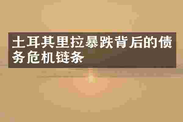土耳其里拉暴跌背后的债务危机链条