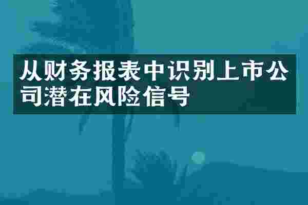 从财务报表中识别上市公司潜在风险信号