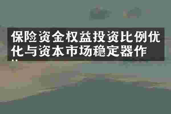 保险资金权益投资比例优化与资本市场稳定器作用