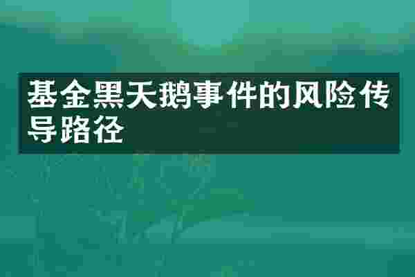 基金黑天鹅事件的风险传导路径