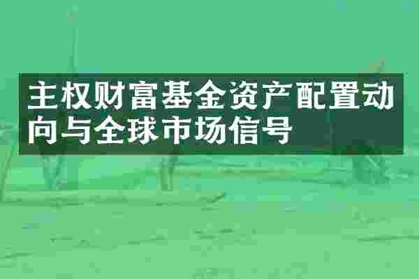 主权财富基金资产配置动向与全球市场信号