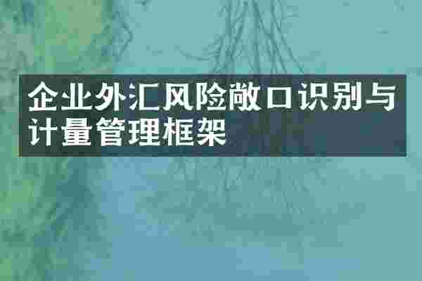 企业外汇风险敞口识别与计量管理框架
