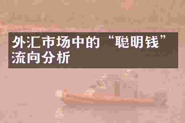 外汇市场中的&ldquo;聪明钱&rdquo;流向分析