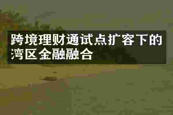 跨境理财通试点扩容下的湾区金融融合