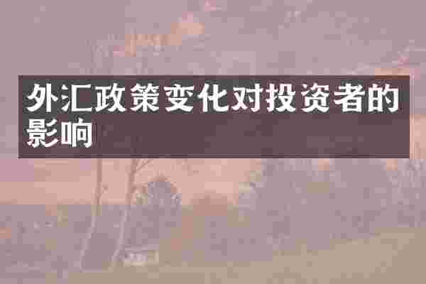 外汇政策变化对投资者的影响
