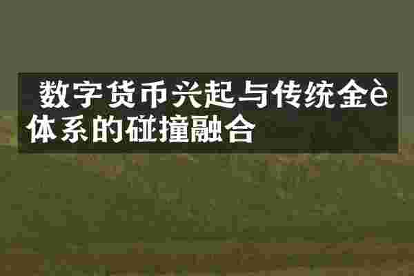  数字货币兴起与传统金融体系的碰撞融合