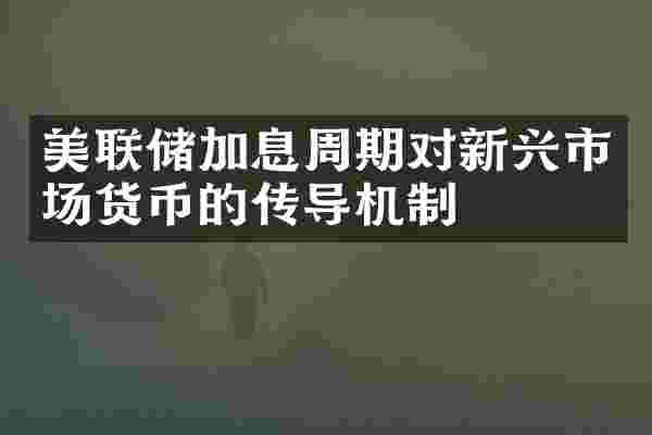 美联储加息周期对新兴市场货币的传导机制