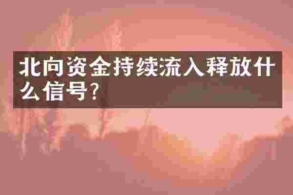 北向资金持续流入释放什么信号？