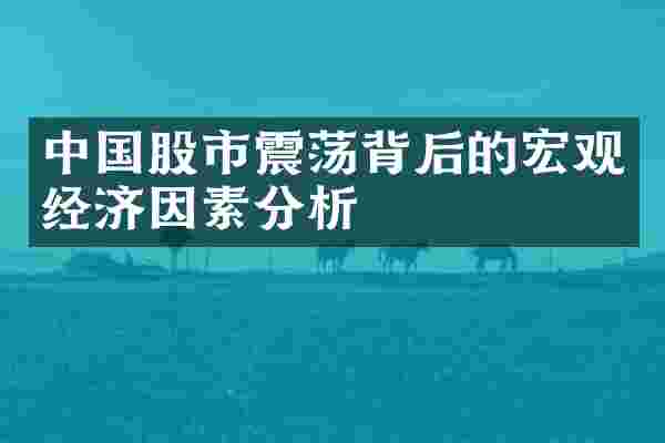 中国股市震荡背后的宏观经济因素分析